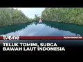 Lagu Teluk Tomini, Serpihan Surga di Jantung Sulawesi | Pesona Nusantara