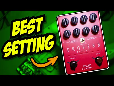 Flamma Ekoverb FS22 | Delicious Audio