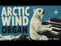 ＡＲＣＴＩＣ ＨＡＭＭＯＮＤ Vol. 1 ✦ Glacial Organ Drones & Frozen Tundra Ambient | Cocktail Notes