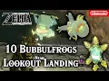 10 Bubbul Frogs 10 Bubbul Gems Around Central Hyrule Around Lookout Landing Zelda TotK