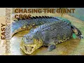Op jacht naar de gigantische monsterkrokodil 🐊 - Volledige, gemakkelijke documentaire