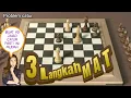Download Lagu Problem catur 3 langkah mat // Ada pengorbanan besar yg tak terduga. Apa itu...