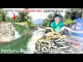 Download Lagu PETUALANGAN BERBURU IKAN SIDAT DAN IKAN MASHEER DI SPOT BARU DENGAN HASIL LUAR BIASA