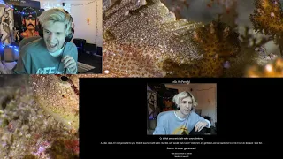 xQc AI leaks about xQc and Amouranth dating