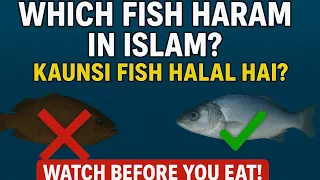 Which Fish Is Haram In Islam Halal Vs Haram Explained 