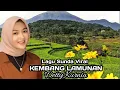 Download Lagu Kembang Lamunan-Detty Kurnia, menemani perjalan menikmati Pesona alam perdesaan