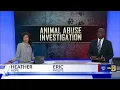 All defendants in love triangle involving bestiality out of jail on bond
