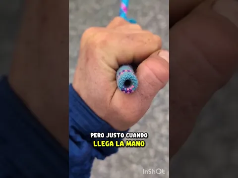 Cuando vieron esta increible ilucion optica quedaron sorprendidos 😱✨