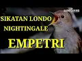 Download Lagu SIKATAN LONDO | NIGHTINGALE SUARA MASTERAN MP3
