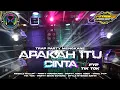 Download Lagu DJ TRAP PARTY MENGKANE APAKAH ITU CINTA || PARTY ASEK ASEK