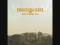 Phosphorescent - Nothing was stolen (love me foolishly).wmv