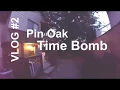 Pin Oak seconds from destroying over a million in property