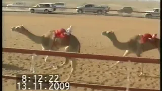 طبول الحرب هادئة ذوق  دندنها