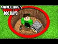 Download Lagu I Survived 100 Days in a HOLE