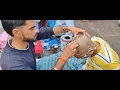 Download Lagu Pitra Shanti \u0026 Mundan Sanskar | Haridwar Ganga Tat Par Pavitra Kriya
