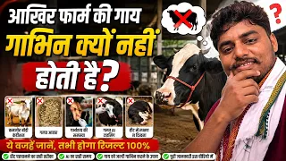 फ़ार्म की गाय गाभिन क्यों नही होती ?ejju dairy farm arwal dairy farm bihar small farm bihar