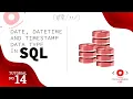 DATE DATETIME and TIMESTAMP Data Type in SQL Lecture 14 Hindi Urdu Programming Eye