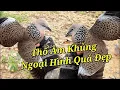 Download Lagu Thổ Campuchia Âm Giọng Quá Phê, Đẹp Như Bức Tranh.Clip618/ TýMinhKonTum 