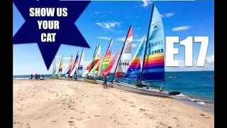 Show us your cat! Episode 17 Germany, Holland, Belgium, USA and Australia