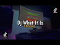 Download Lagu DJ VIRAL WHAT IT IS X BAHANAPUI || PRESET CAPCUT VIRAL TIKTOK!! - DJ SANTUY