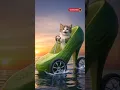 Download Lagu Kucing lucu si'Gemoy🤑🤯😂 #cats #funnycats #cutecat #kucing #kucinglucu #lucu #gemoy #surfing