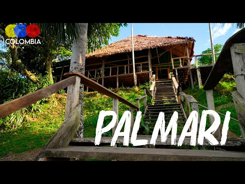 Palmari Natural Reserve | Amazon Jungle Lodge