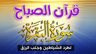 قرآن الصباح سورة البقرة كاملة تلاوة خاشعة تبدأ بها يومك Quran 