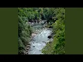 Download Lagu Relaxation Sape Borneo, Vol. 3