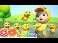 Download Lagu Pintainho Amarelinho 2 - Cinco Patinhos | Canções Para Crianças | GoBooBoo Músicas Infantis