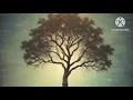 Download Lagu Masih dihatiku,.