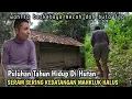 Lagu Nekad,Bertahan Hidup Di Rumah Tengah Hutan Sering Kedatangan Mahluk Halus Wanita Cantik Dan Buta ijo