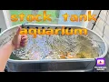 Affordable stock tank aquarium