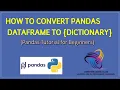 How to Convert DataFrame to Dictionary in Python Python Pandas Tutorial