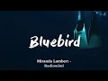 Miranda Lambert - Bluebird (Acoustic)(Lyrics)