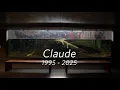 Goodbye Claude California Academy of Sciences