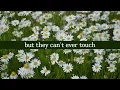Maisie Peters - My Regards (Lyrics)
