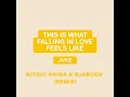 this is what falling in love feels like (Kitsui Akira and DJArceo Remix)