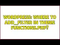 Wordpress Where to add - filter in theme functions php 2 Solutions