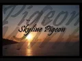 Elton John - Skyline Pigeon