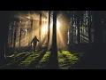Download Lagu Dmitry Glushkov feat. LaraRai - Кукушка (В.Цой cover)[Deep Immersion]