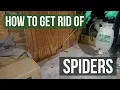 How to Get Rid of Spiders Guaranteed 4 Easy Steps
