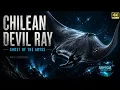 CHILEAN DEVIL RAY THE HAUNTING GHOST OF THE DEEP Abyssal Chronicles