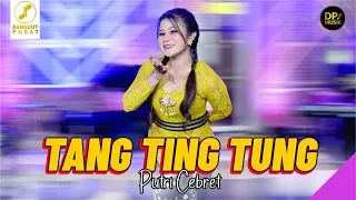 putri cebret tang ting tung