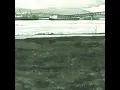 Khanamoot