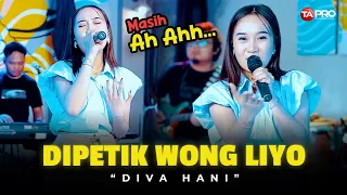 diva hani dipetik wong liyo live dangdut electone lembayung wis wayah ganti musim tandurane