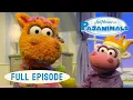Download Lagu Pajanimals | Share Day / Tomorrow is Brand New | Jim Henson Family Hub | Kids Cartoon