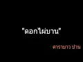 ดอกไผ่บาน | คาราบาว ปาน