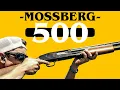 This Gun Started My Career Mossberg 500 12ga Pump Shotgun Review