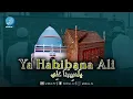 Ya Habibana Ali - Hadrah Majelis Rasulullah SAW Jawa Timur