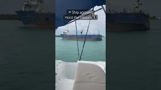 Hoist the colours #shortvideo #colors #ship #bahamas